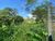 Terreno, 138 m² - Foto 3
