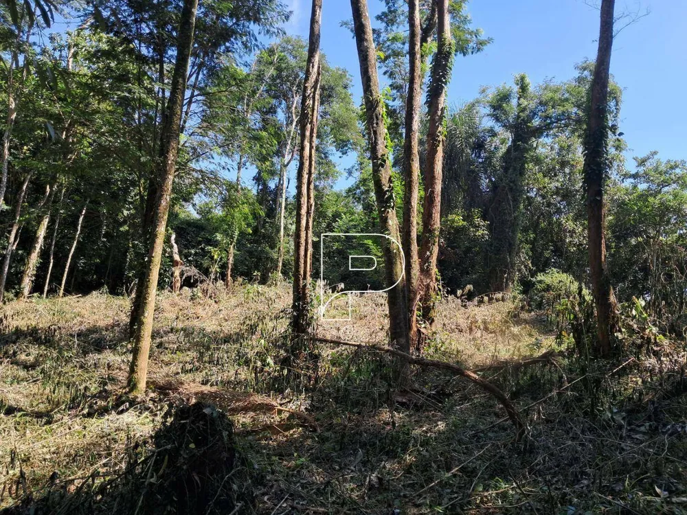 Loteamento e Condomínio, 500 m² - Foto 2