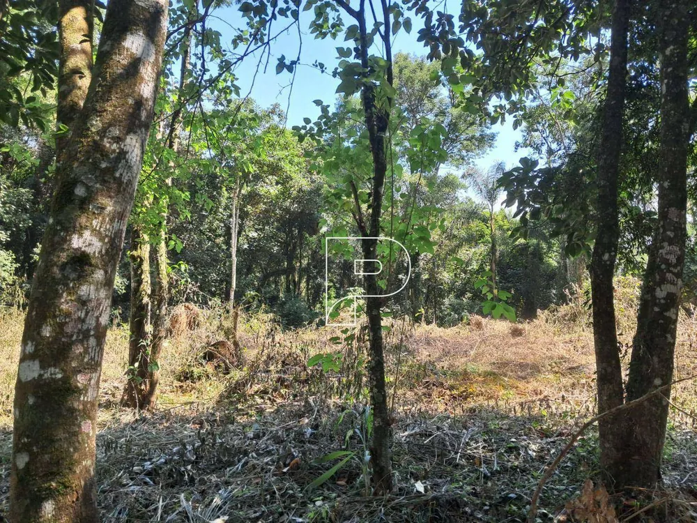 Loteamento e Condomínio, 500 m² - Foto 1