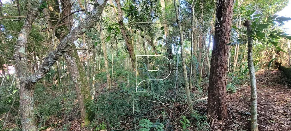 Loteamento e Condomínio, 1667 m² - Foto 5