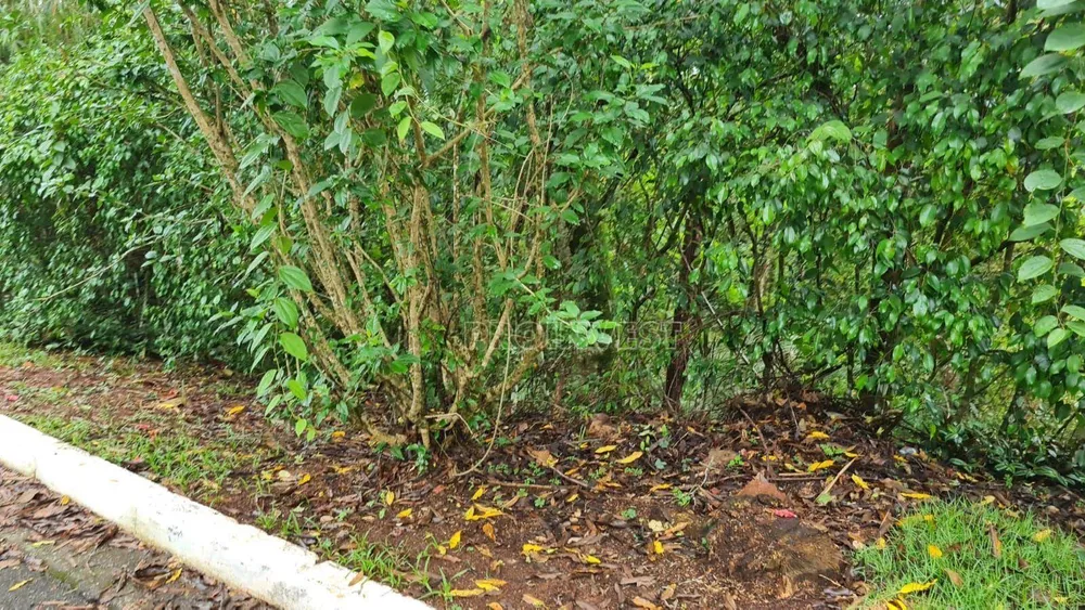 Loteamento e Condomínio, 1250 m² - Foto 1