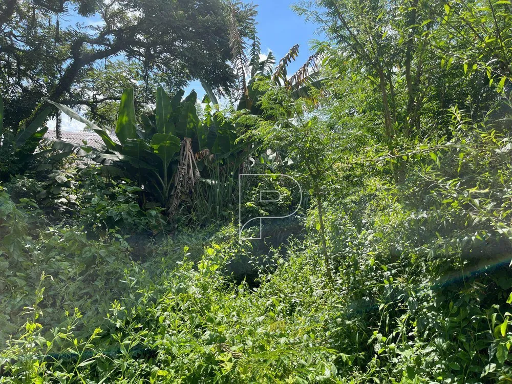 Terreno, 1799 m² - Foto 3