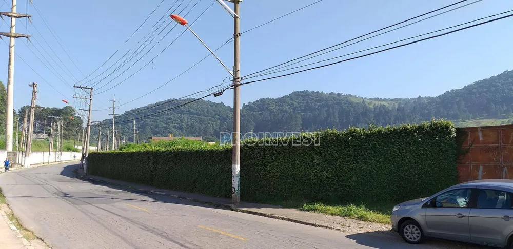 Terreno, 3 hectares - Foto 6