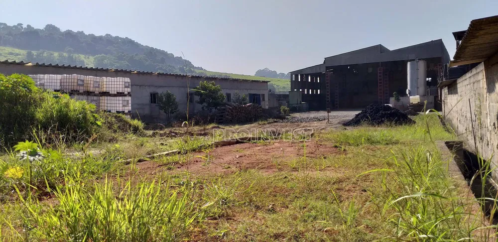 Terreno, 3 hectares - Foto 8