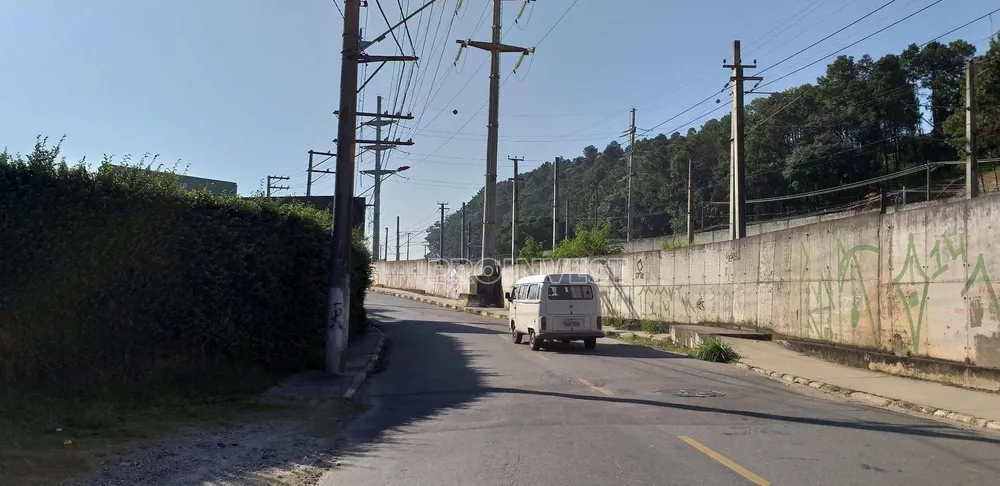 Terreno, 3 hectares - Foto 4