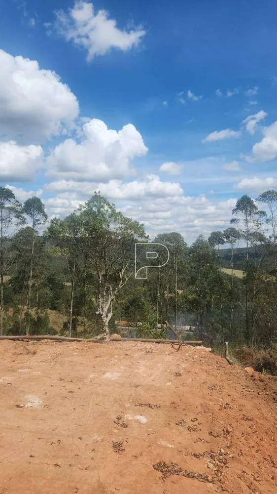 Terreno, 1197 m² - Foto 5