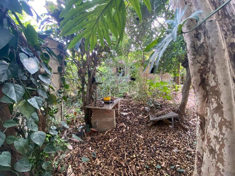 Terreno, 885 m² - Foto 11