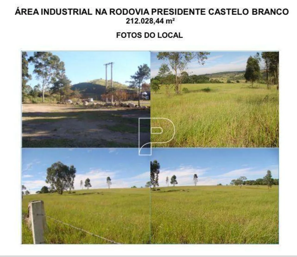 Terreno, 21 hectares - Foto 4