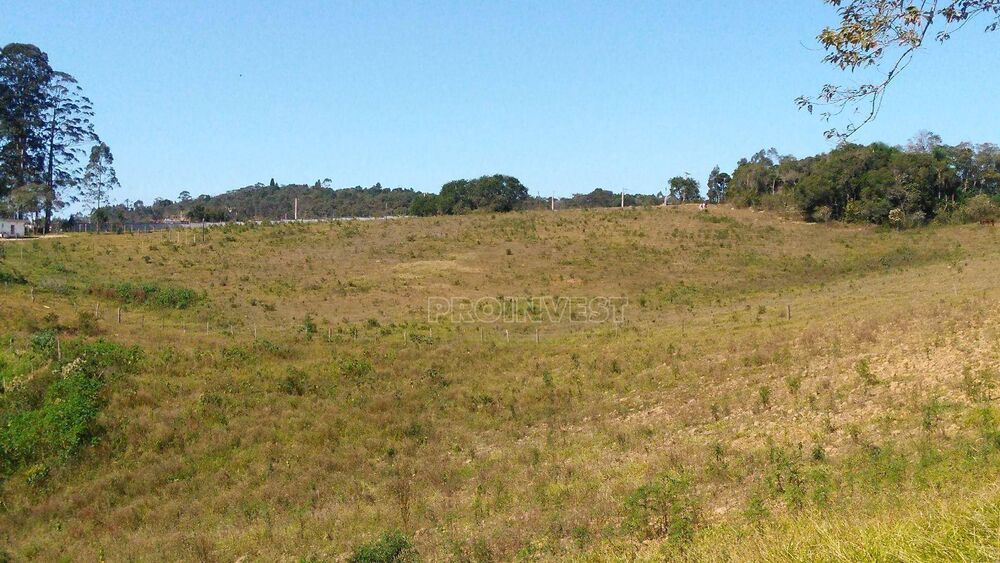 Terreno, 25 hectares - Foto 8