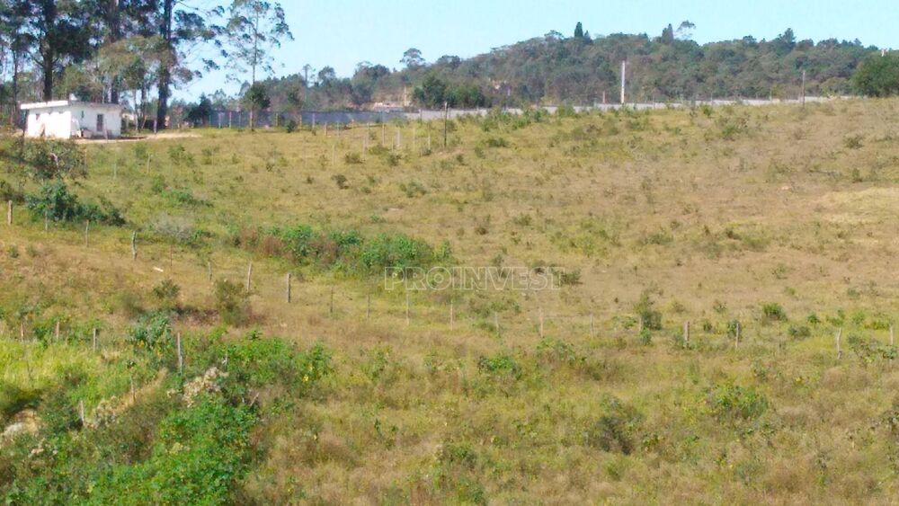 Terreno, 25 hectares - Foto 7