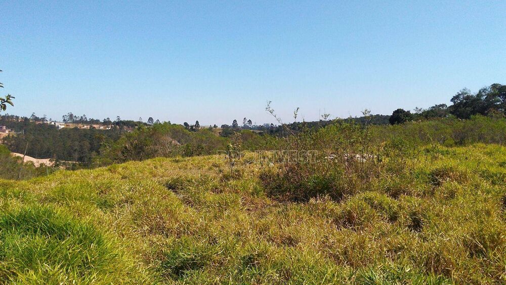 Terreno, 25 hectares - Foto 5