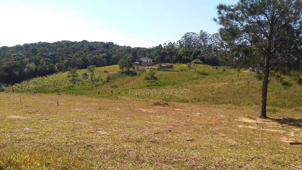 Terreno, 25 hectares - Foto 4