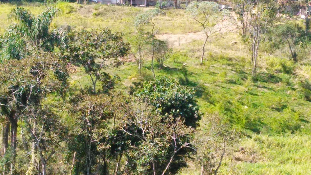 Terreno, 25 hectares - Foto 13