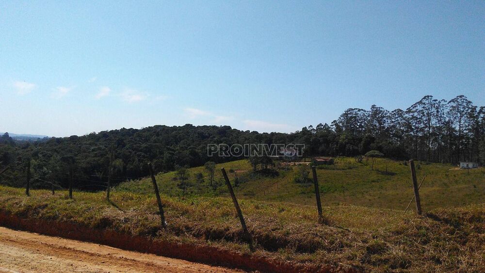 Terreno, 25 hectares - Foto 6