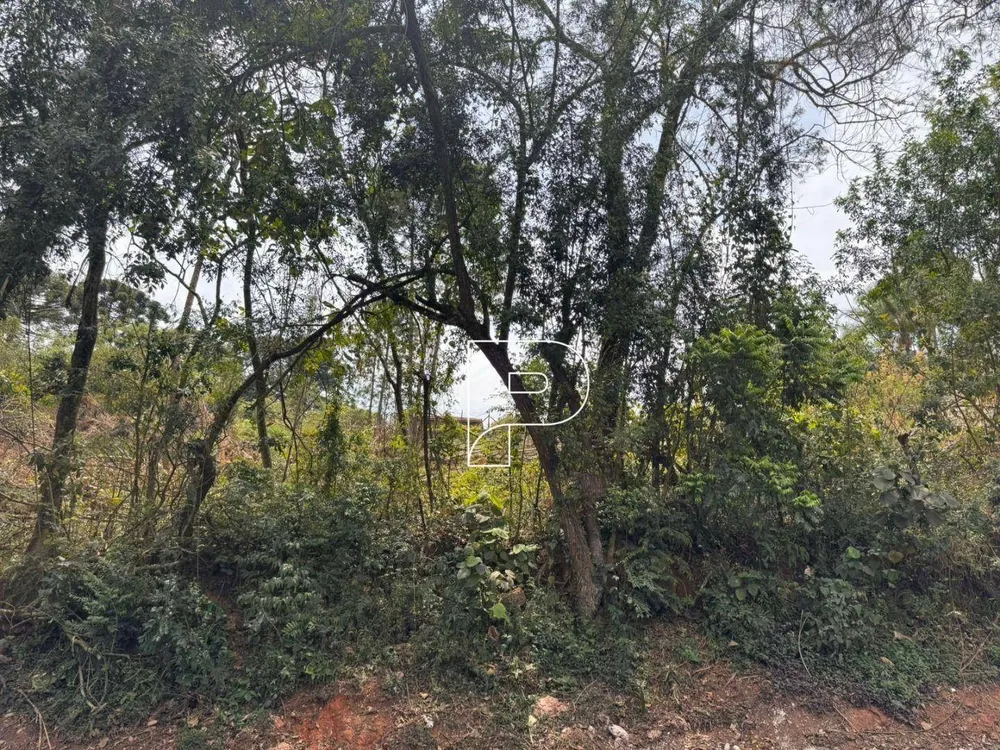 Loteamento e Condomínio, 1900 m² - Foto 3