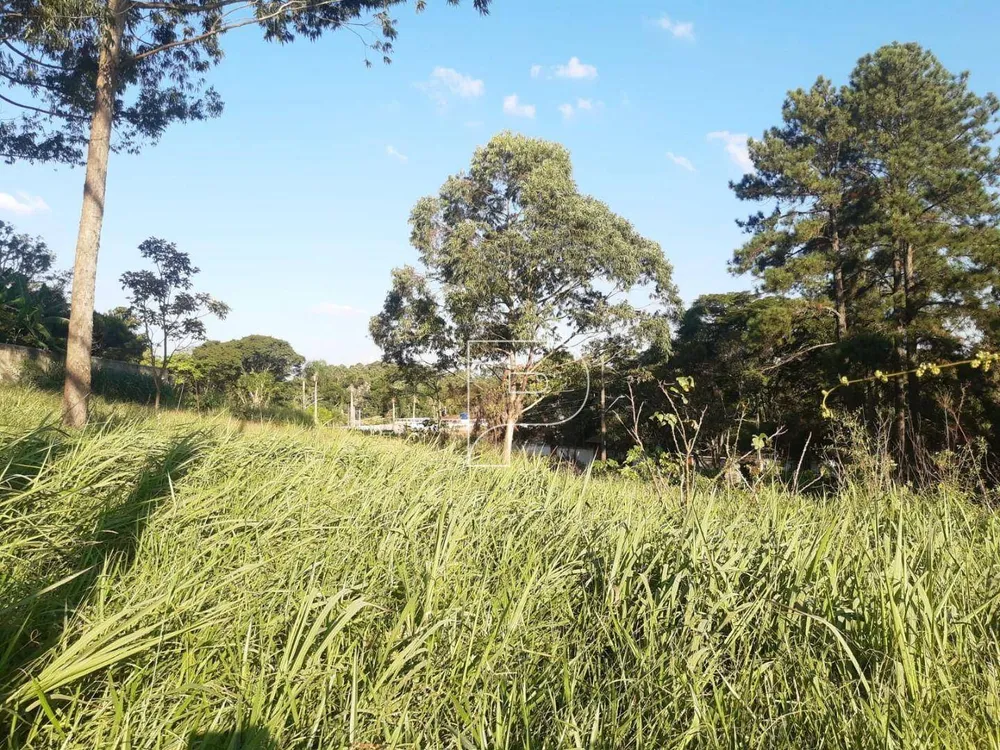 Terreno, 2377 m² - Foto 3