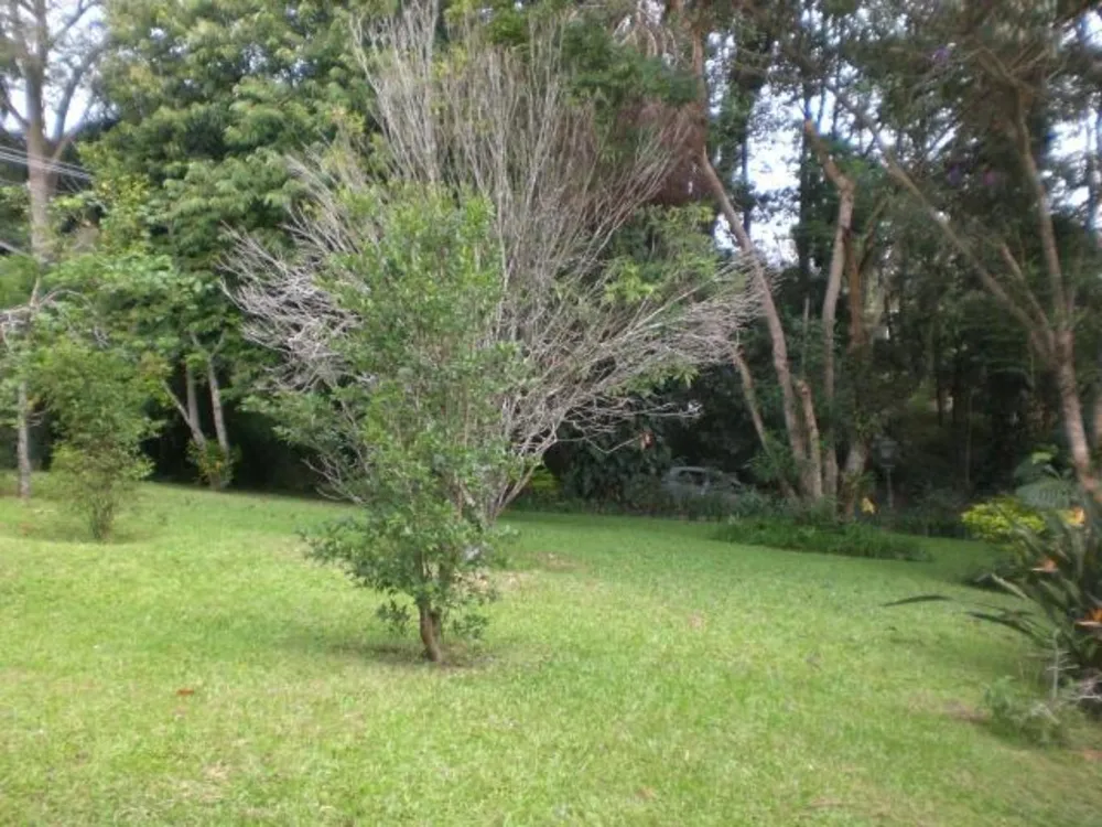 Terreno, 6657 m² - Foto 2