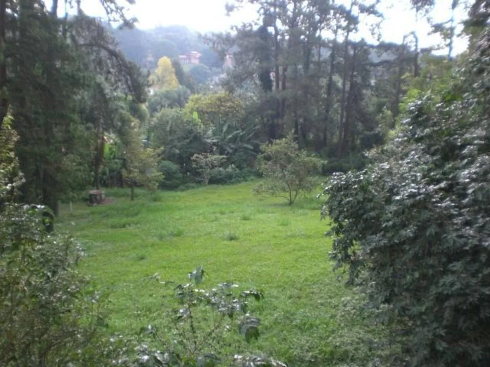 Terreno, 6657 m² - Foto 5