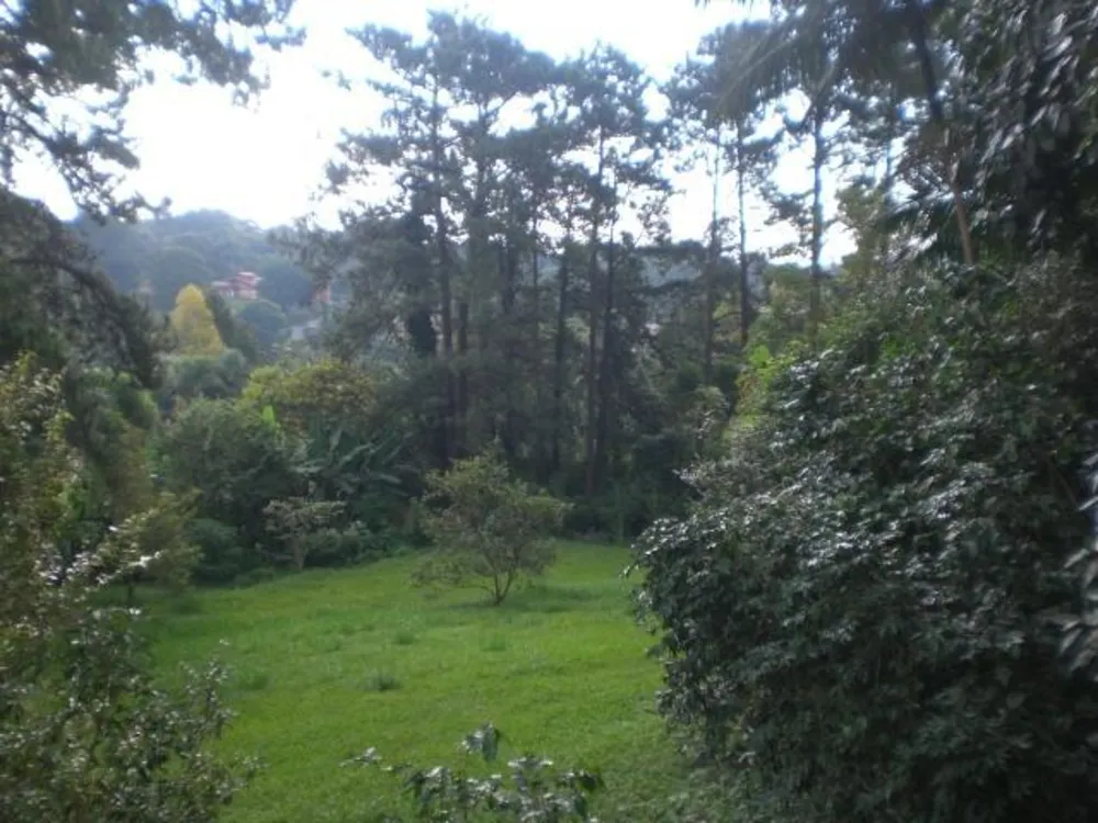 Terreno, 6657 m² - Foto 7