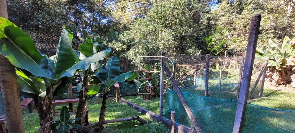 Chácara, 3 quartos, 2 hectares - Foto 6