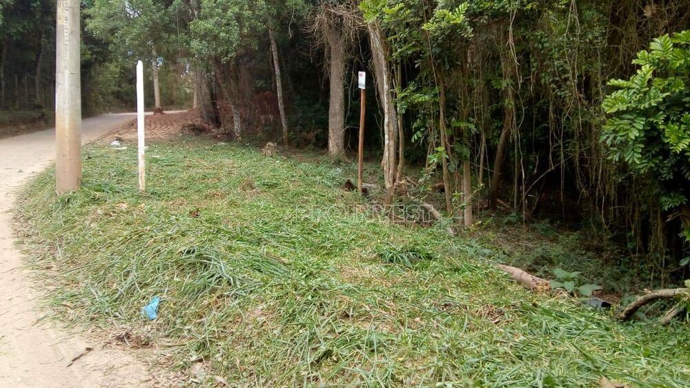 Terreno, 8000 m² - Foto 5