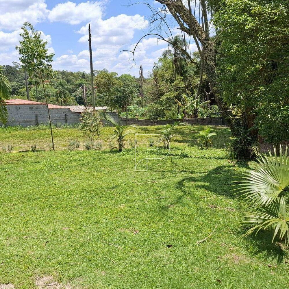 Terreno, 8000 m² - Foto 6