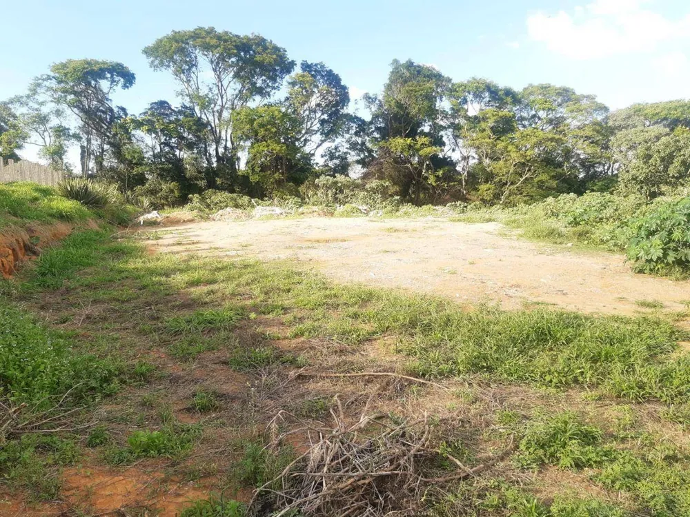 Terreno, 8 hectares - Foto 7