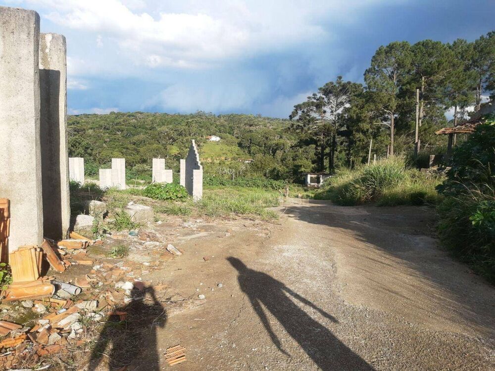 Terreno, 8 hectares - Foto 4