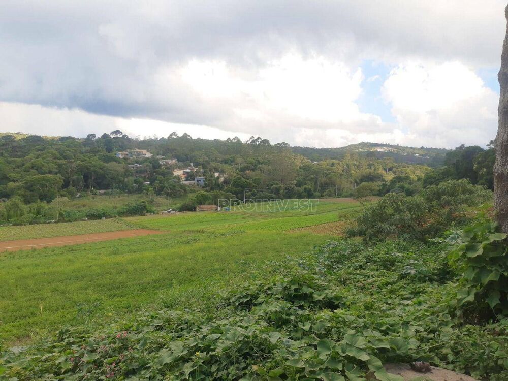 Terreno, 8 hectares - Foto 3