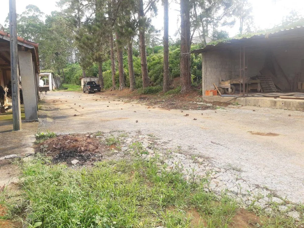 Terreno, 8 hectares - Foto 6