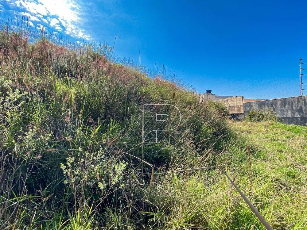 Terreno, 744 m² - Foto 9