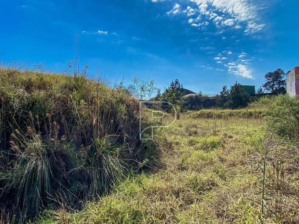 Terreno, 744 m² - Foto 7