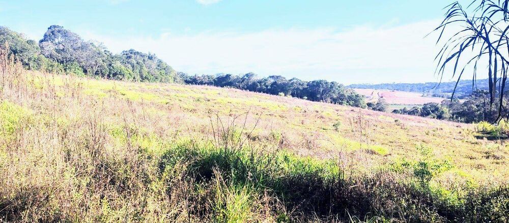 Terreno, 8 hectares - Foto 3