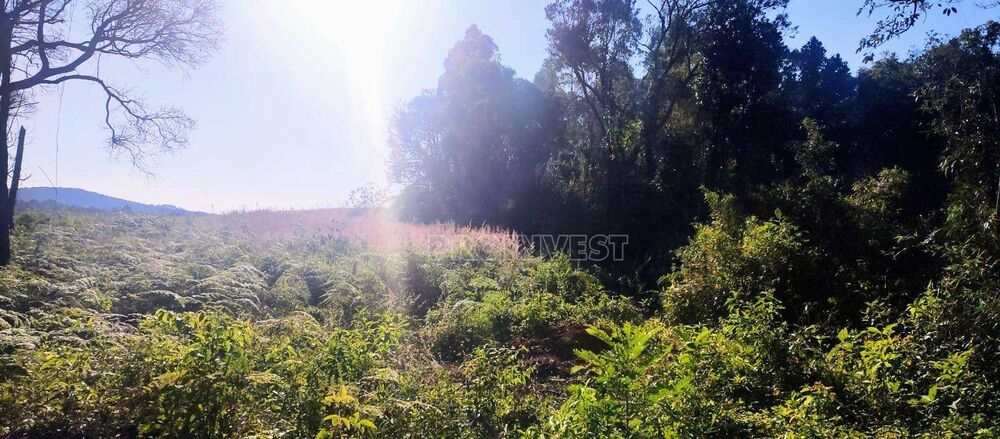 Terreno, 8 hectares - Foto 8