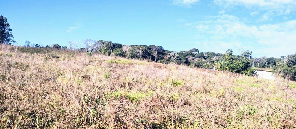 Terreno, 8 hectares - Foto 5