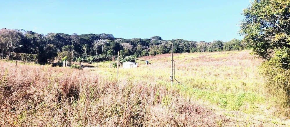 Terreno, 8 hectares - Foto 8