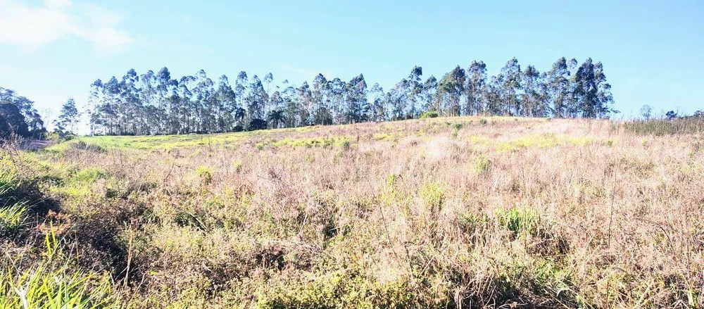 Terreno, 8 hectares - Foto 7