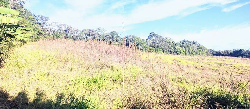 Terreno, 8 hectares - Foto 6