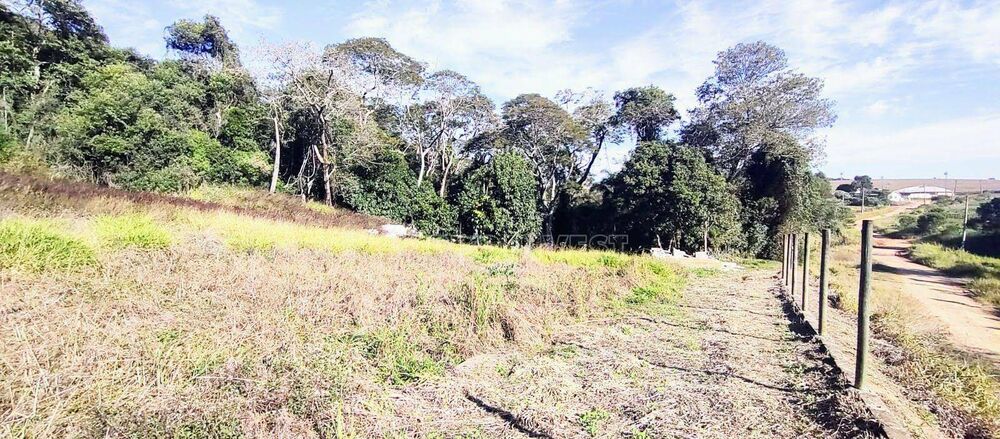 Terreno, 8 hectares - Foto 4