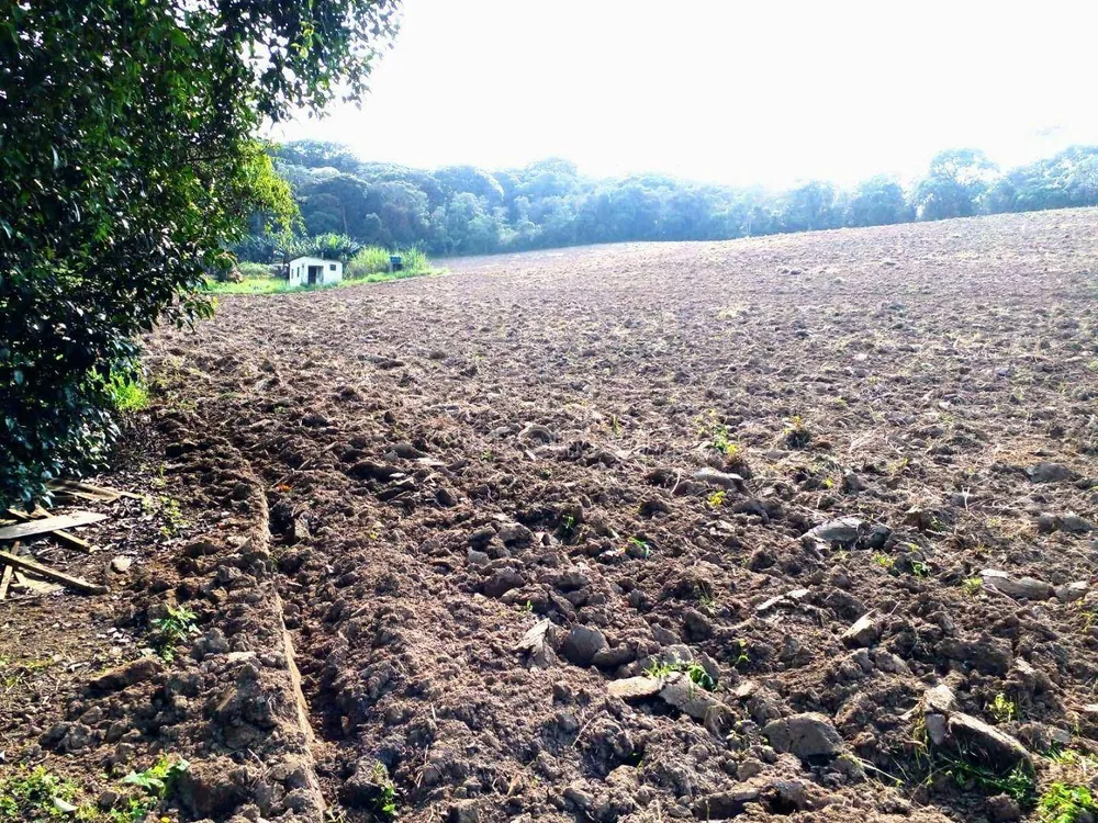 Terreno, 8 hectares - Foto 5