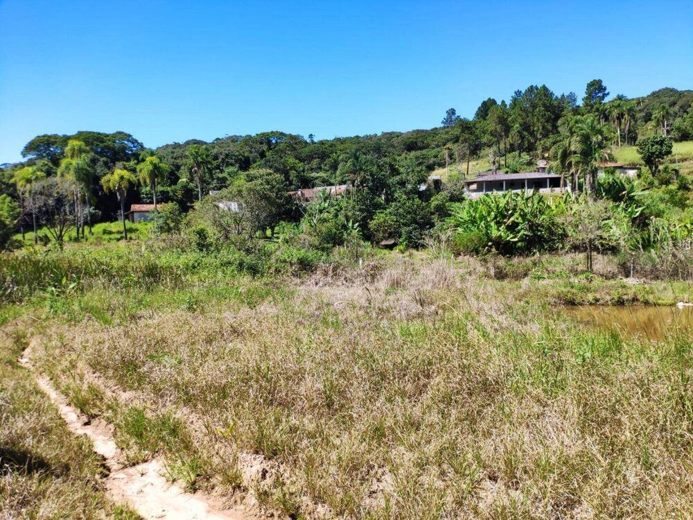 Terreno, 5 hectares - Foto 3