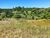 Terreno, 5 hectares - Foto 4