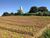 Terreno, 5 hectares - Foto 2