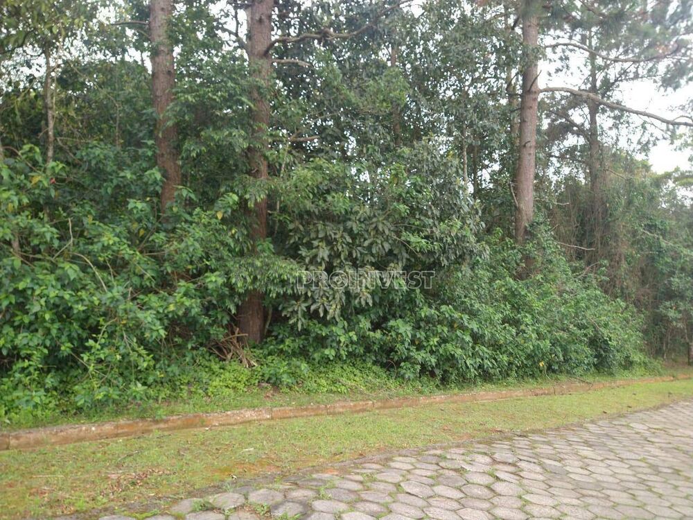 Loteamento e Condomínio, 800 m² - Foto 2