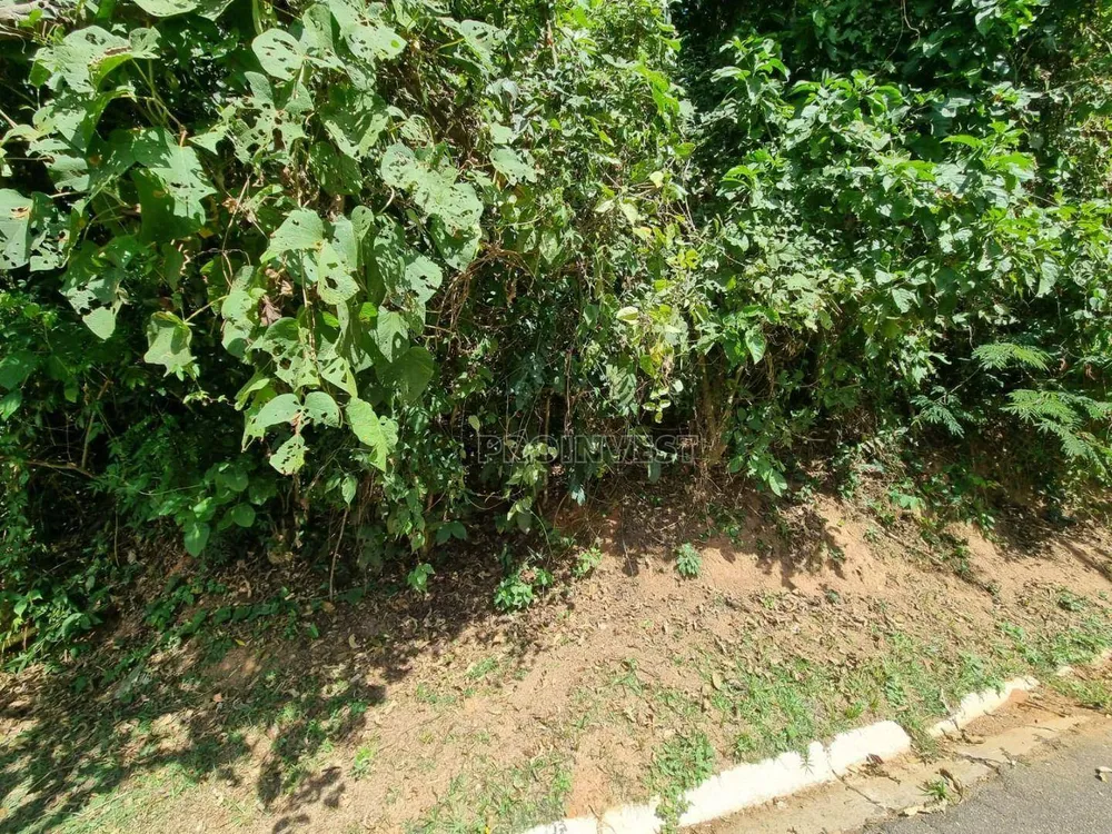 Loteamento e Condomínio, 540 m² - Foto 2