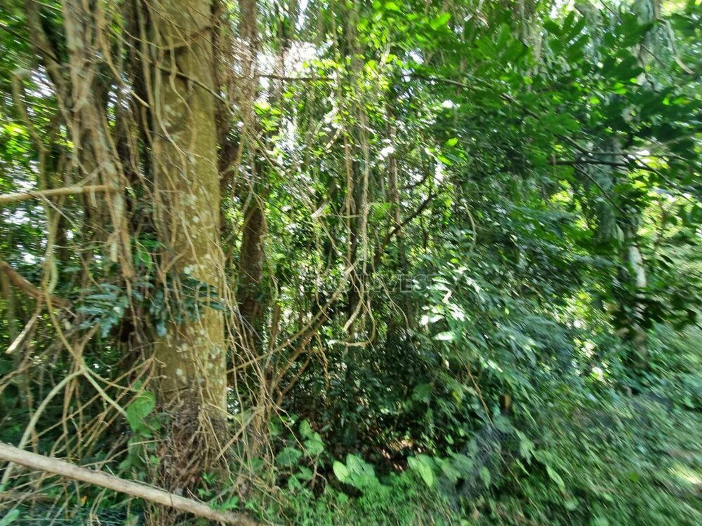 Loteamento e Condomínio, 540 m² - Foto 3