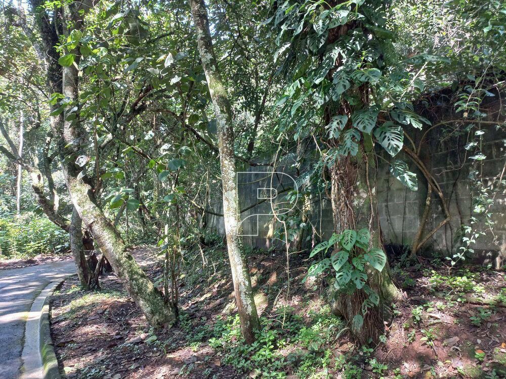 Terreno, 10000 m² - Foto 8