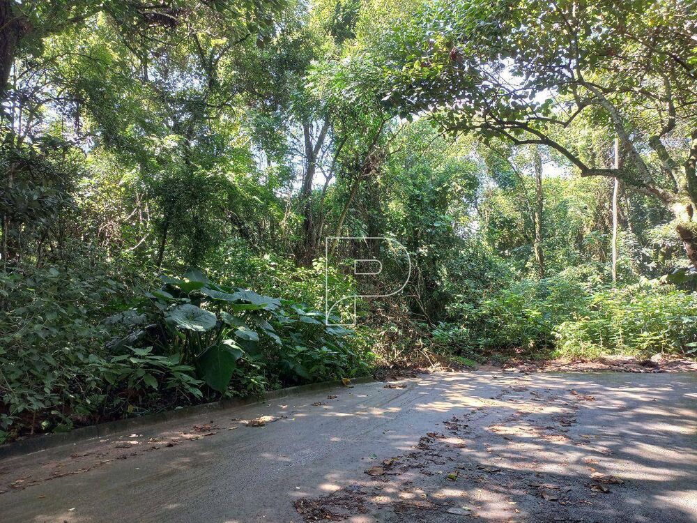 Terreno, 10000 m² - Foto 2