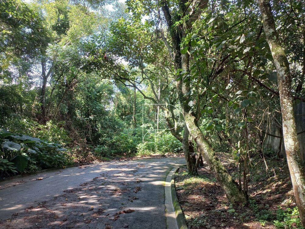 Terreno, 10000 m² - Foto 9