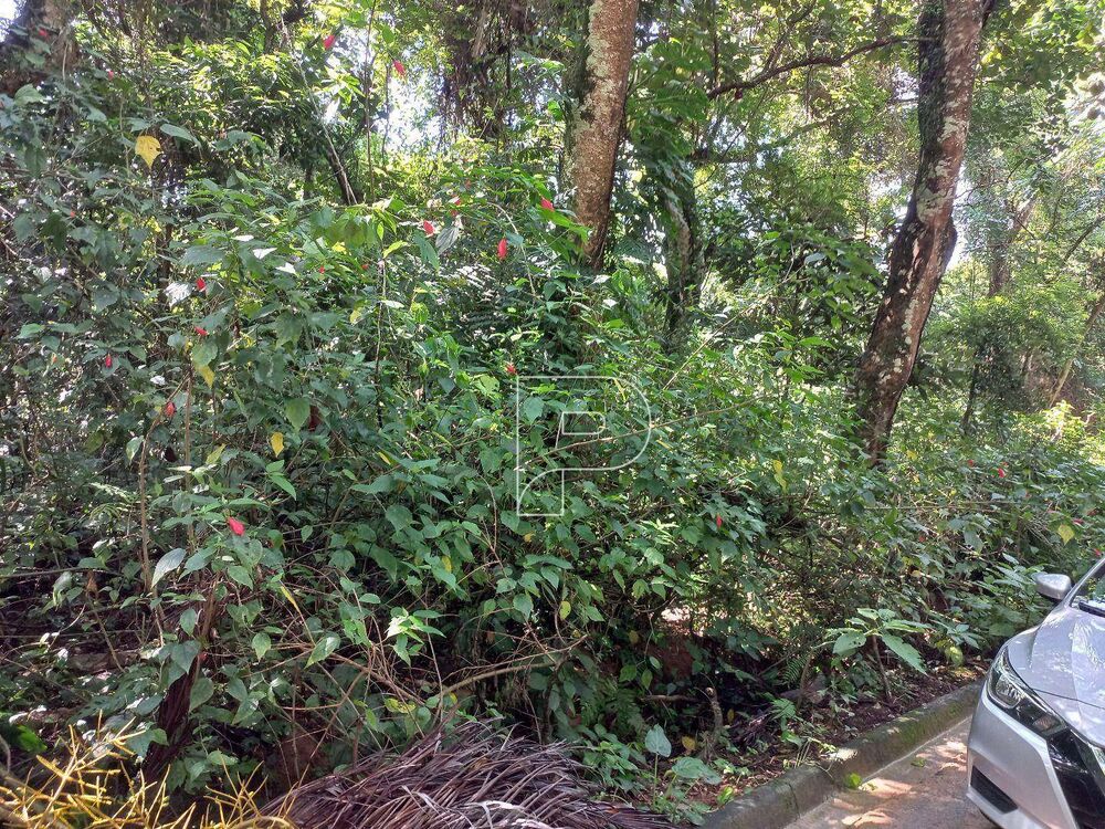 Terreno, 10000 m² - Foto 7